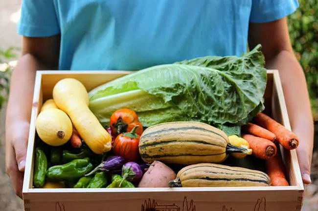 A community-supported agriculture (CSA) membership lets you get the freshest fruits and veggies, and support local farms.