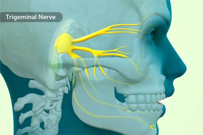 Headaches associated with Horner syndrome may be linked with droopy eyelids.