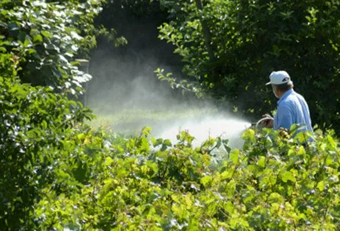 Ticks can be controlled by application of acaricides.