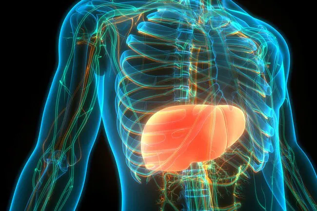 Your liver produces this chemical compound.