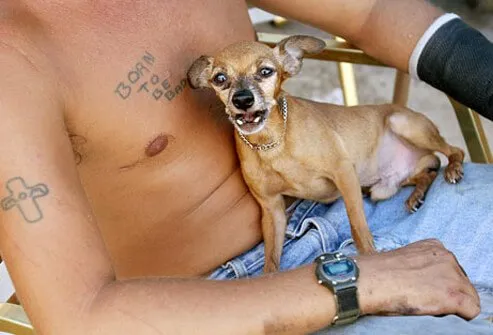 Man With Tattoo's and Dog