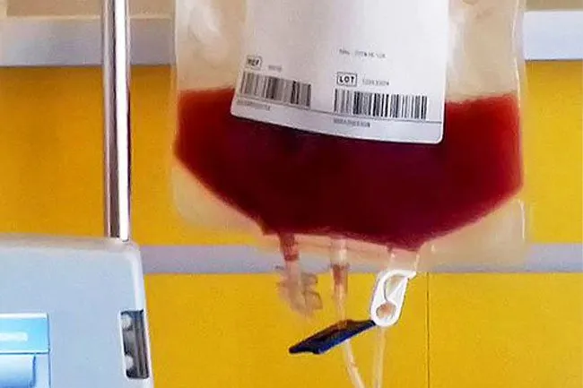 High-dose chemotherapy can knock out more cancer, but it also wipes out bone marrow, which is where blood cells are made.