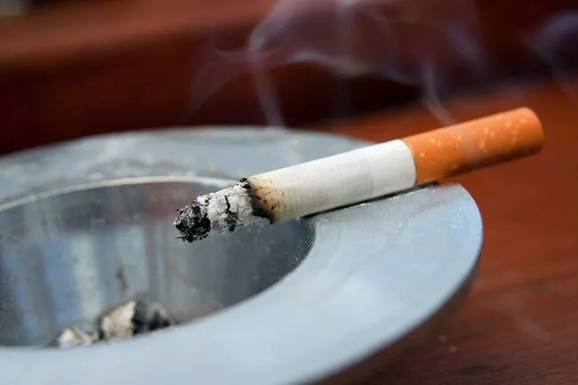 Smoking damages blood vessels and ups the risk of kidney cancer. 