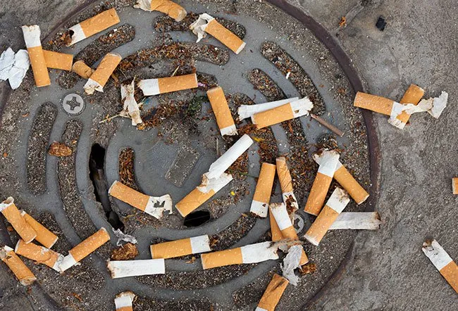 Cigarette butts are among the most common forms of litter worldwide.