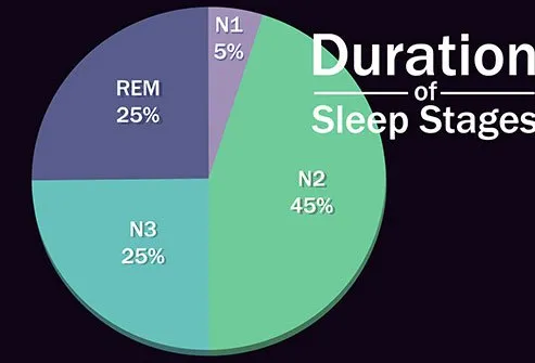 You begin the night in non-REM sleep and spend most of your rest time there.