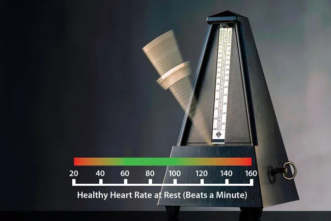 Healthy people have a resting heart rate between 60 and 100 beats per minute.