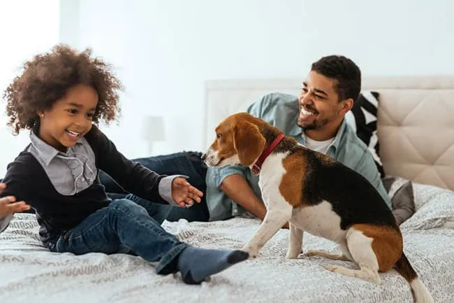 Sleeping with your pets in bed exposes you to animal hair, dander, and potentially fleas and ticks. 