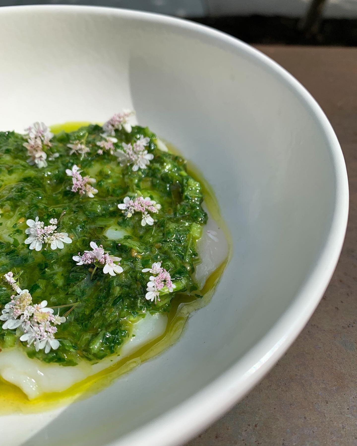 Scallop, watercress, green coriander