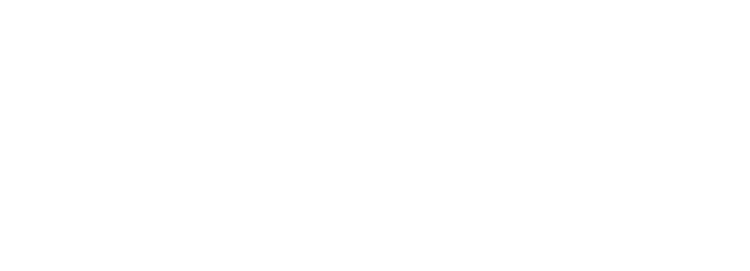 THE RADIANT INITIATIVE