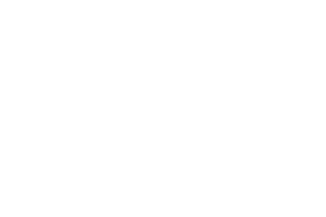 bizwomen.png