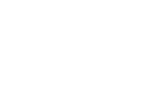 WorldWomanFoundation.png