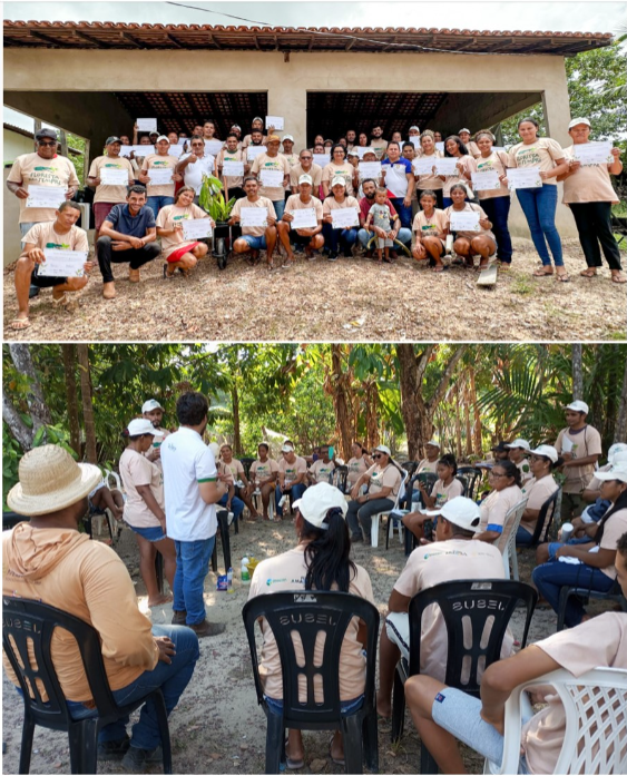 Captura de tela 2024 04 29 144919 1 - Projeto Floresta para Sempre