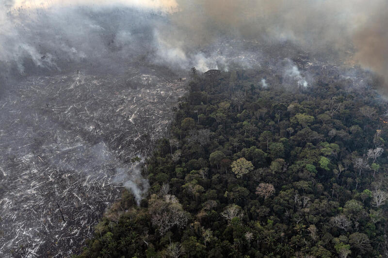 GP0SU1T9T Low res 800px - Desmatamento e degradação têm sexto mês consecutivo de aumento na Amazônia