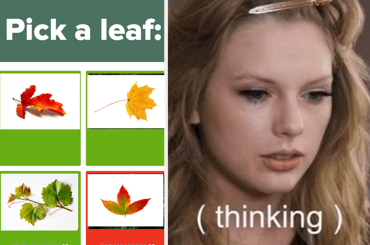 Split image: Left shows four leaf options to pick; right shows a person with text "(thinking)."