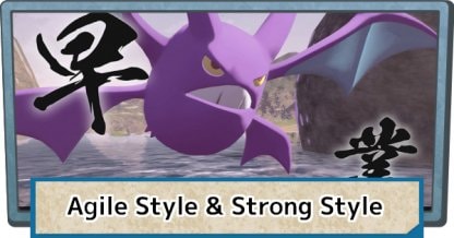 Agile Style & Strong Style