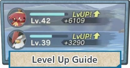 Level Up Guide