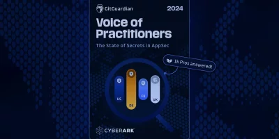 Voice of Practitioners 2024