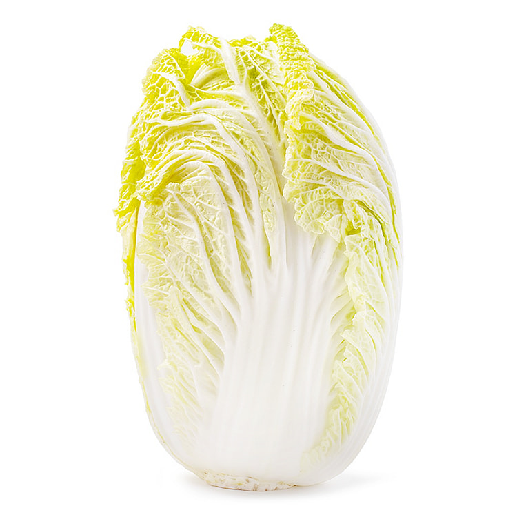 Napa Cabbage