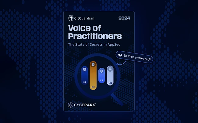 Voice of Practitioners 2024