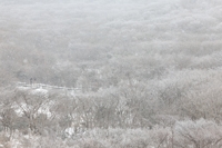 한라산에 최고 55㎝ 넘는 눈 쌓여…입산 전면 통제