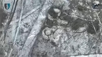 Ukrainian military unveils footage of drone attacks on N. Korean soldiers: report