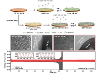 안전성·내구성 높인 차세대 리튬금속전지 기술 개발