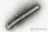 WHO "고병원성 조류인플루엔자 인간감염 올해 76건"
