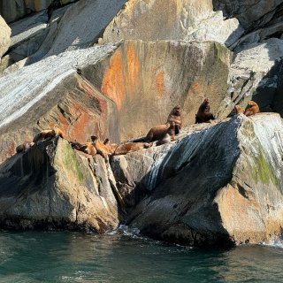 阿拉斯加｜Kenai Fjords游船｜...