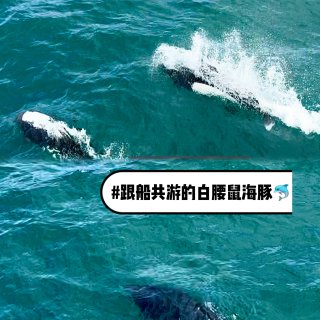 阿拉斯加｜Kenai Fjords游船｜...