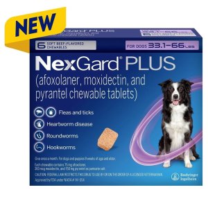 NexGard PLUS 新款超全能狗狗口服型驱虫药 6颗装