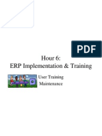 ERP Implementation & Training