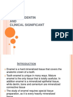 Enamel and Dentin