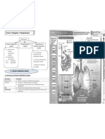 F3 Chapter 1 Respiratory System