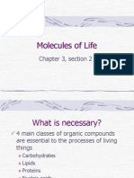 Molecules of Life