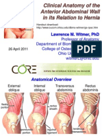 Clinical Anatomy of The Anterior Abdominal Wall in Its Relation To Hernia