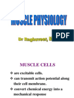 Skeletal Muscle