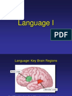 Language - Neuro