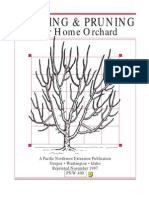 Pruning & Training The Orchard