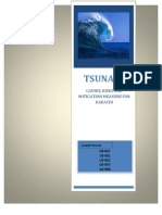 Tsunami - Causes and Mitigation Measures