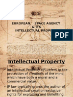 Intellectual Property Rights