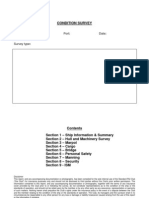 Standard P&i Condition Survey