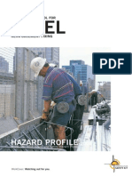 Hazard Profile-Rebar Activity