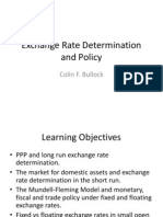 Exchange Rate Determination and Policy