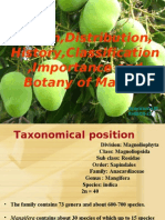 Origin, Distribution, History, Classification, Importance and Botany of Mango