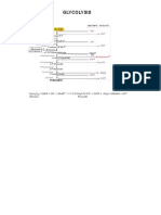 Glycolysis