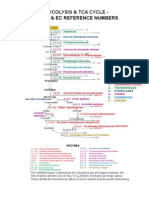 Glycolysis and TCA Cycle Enzymes and EC Reference Numbers