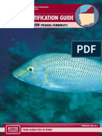 Species Identification Guide (North Coast Region)