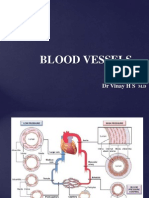 Blood Vessel Pathology 