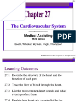 Chapter 27 The Circulatory System