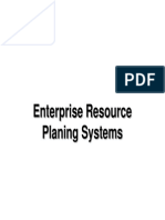 Enterprise Resource Planing Systems